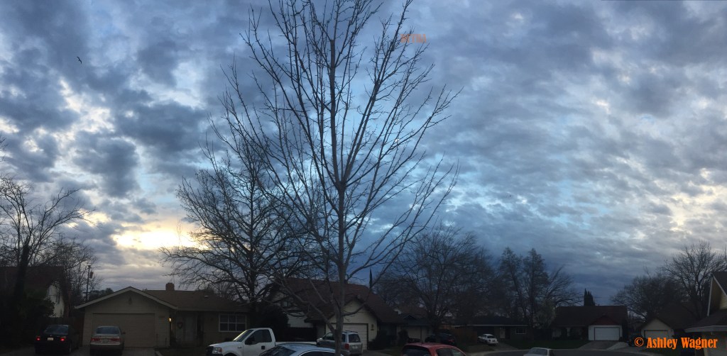 Photo Feb 06, 7 17 55 AM