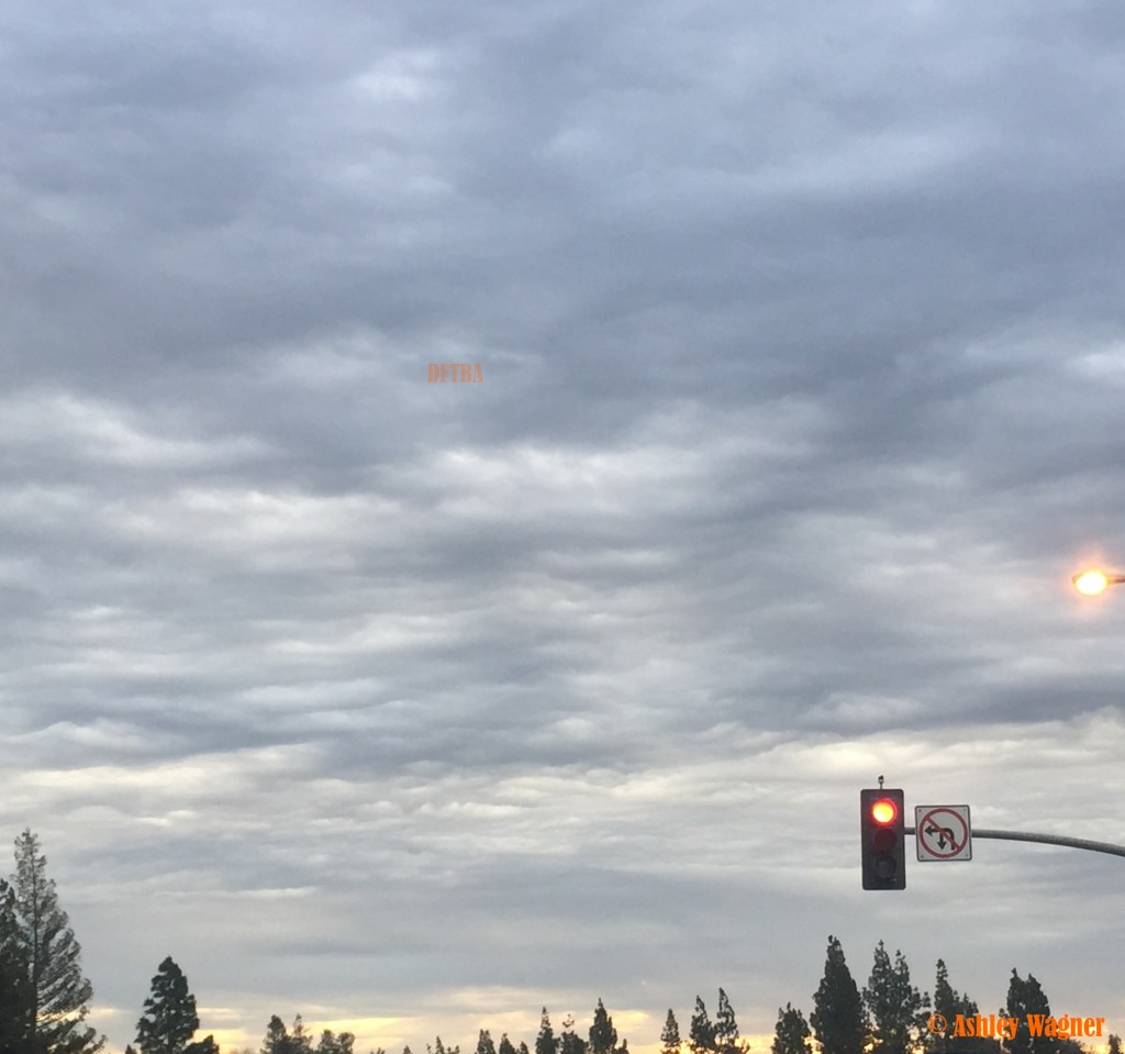 Photo Feb 06, 7 45 02 AM