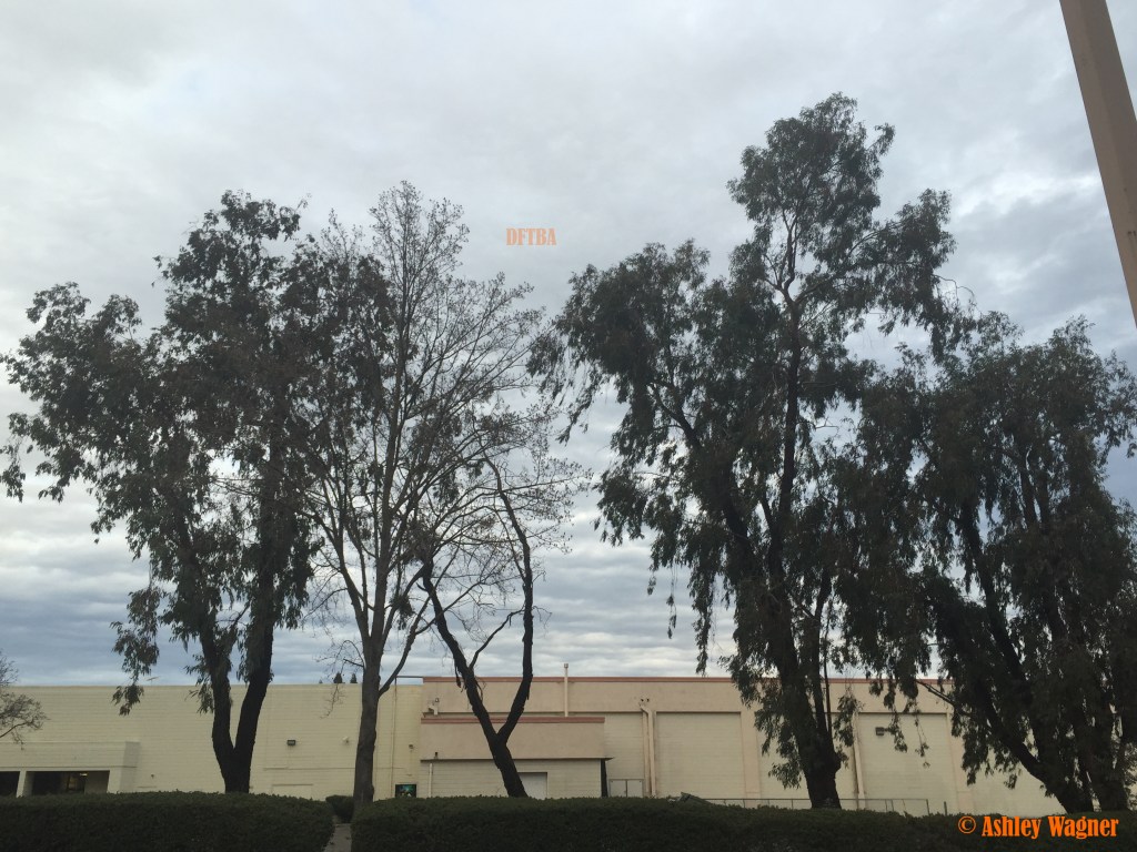 Photo Feb 06, 7 49 33 AM