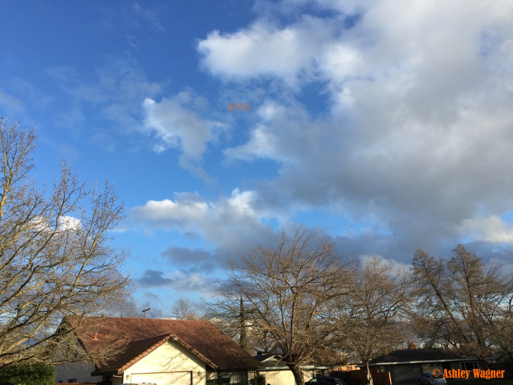 Photo Feb 07, 4 38 54 PM