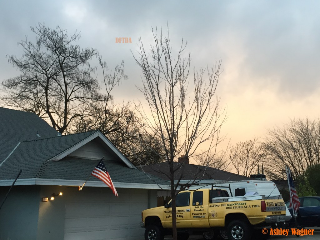 Photo Feb 09, 7 14 16 AM