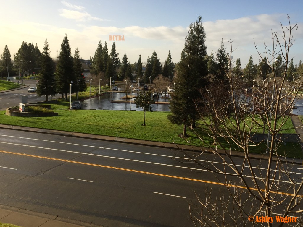 Photo Feb 09, 8 48 27 AM