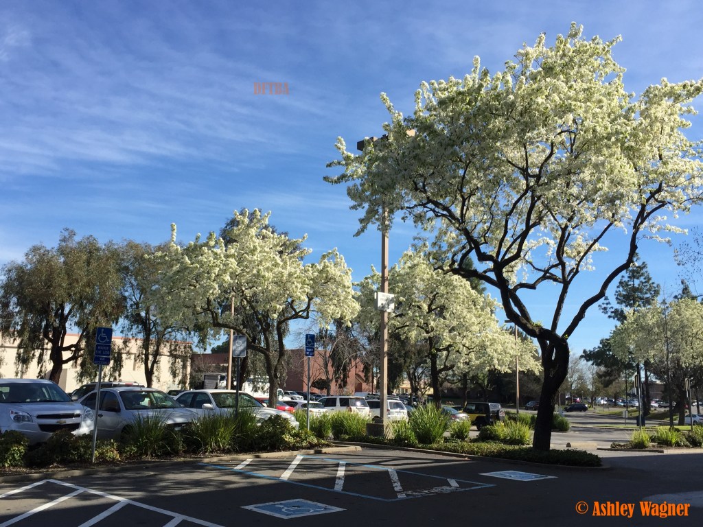 Photo Feb 12, 10 58 27 AM