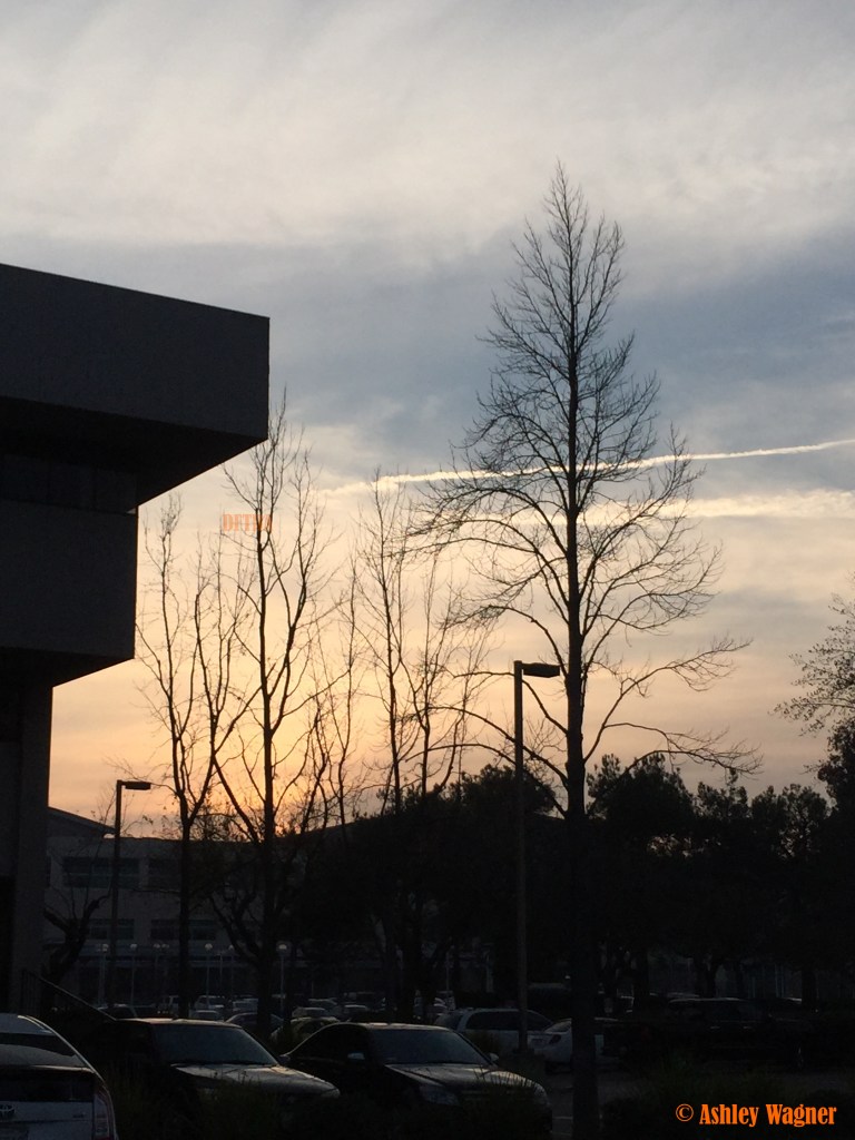 Photo Jan 14, 4 44 25 PM