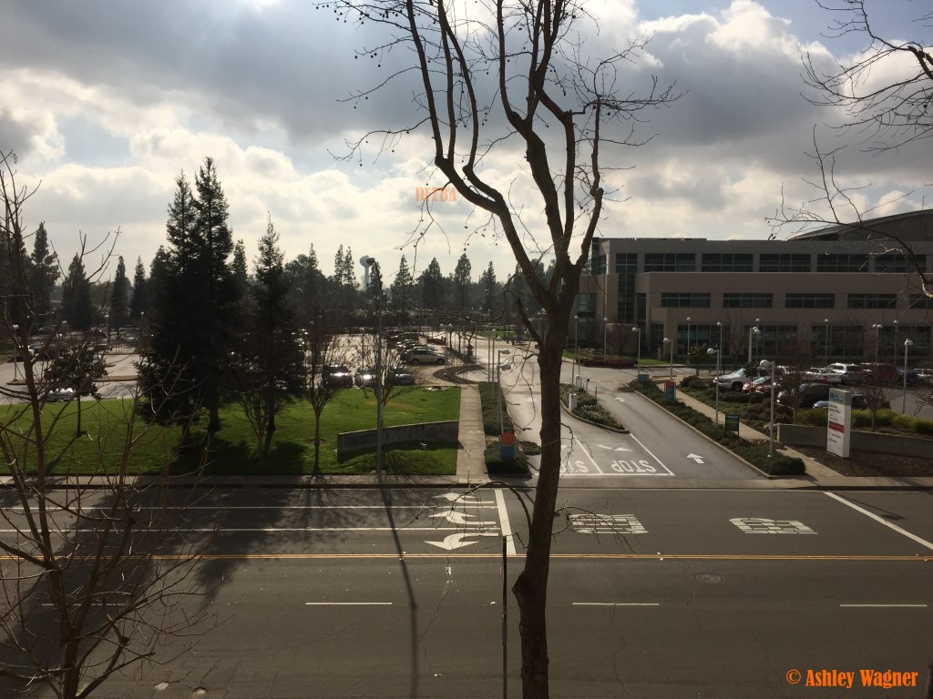 Photo Jan 20, 1 32 52 PM