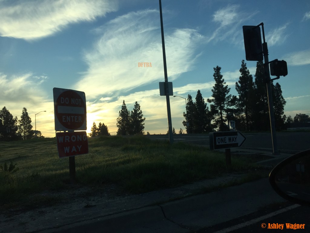 Photo Jan 29, 7 45 03 AM