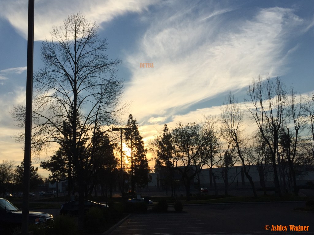 Photo Jan 29, 7 48 45 AM