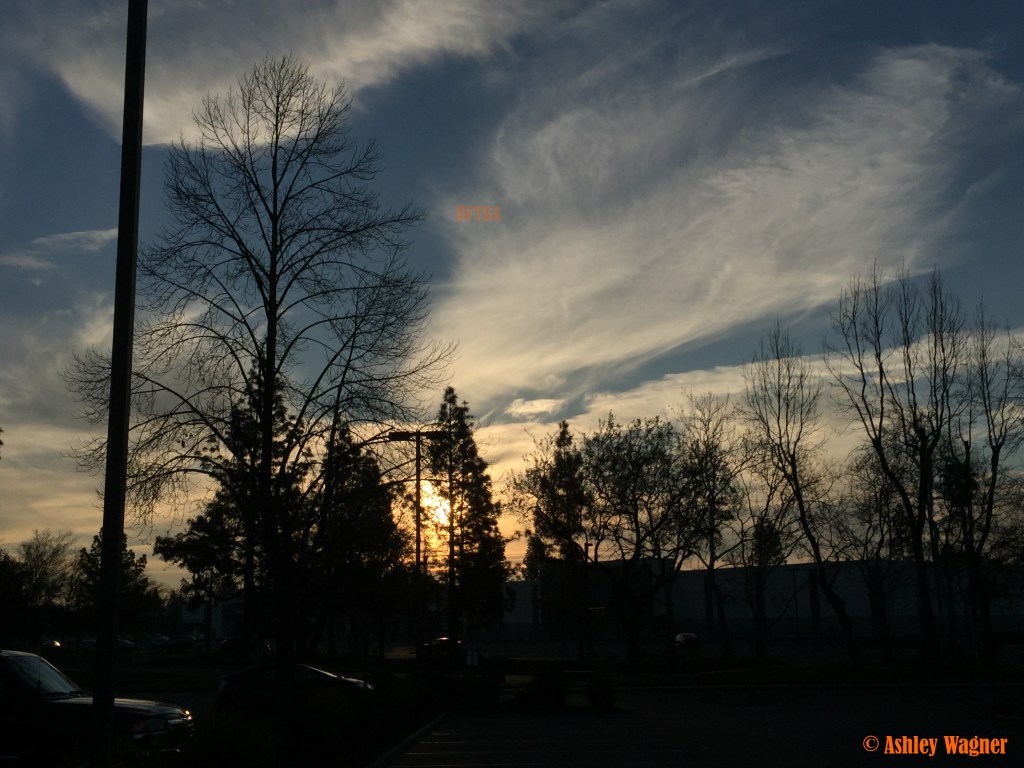 Photo Jan 29, 7 48 52 AM