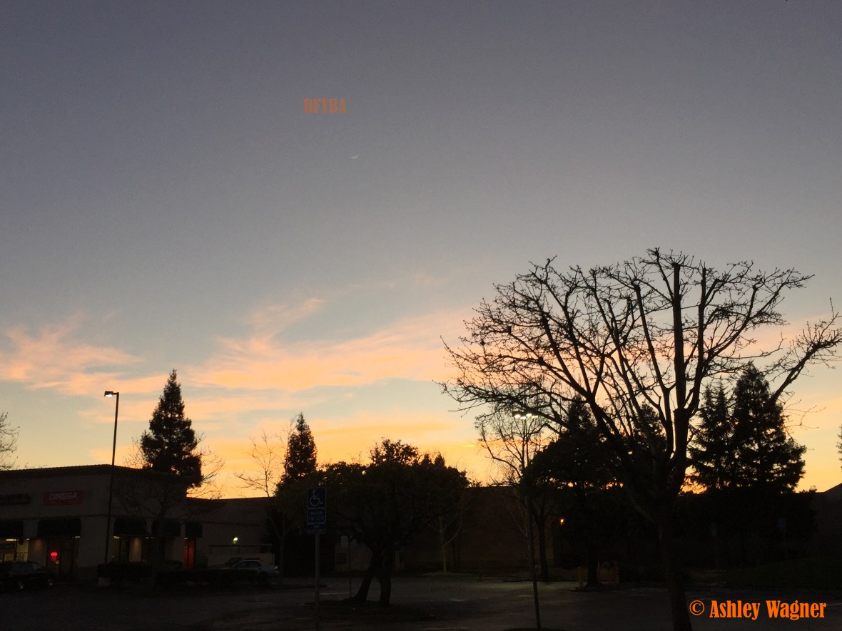 Photo Feb 20, 5 56 36 PM