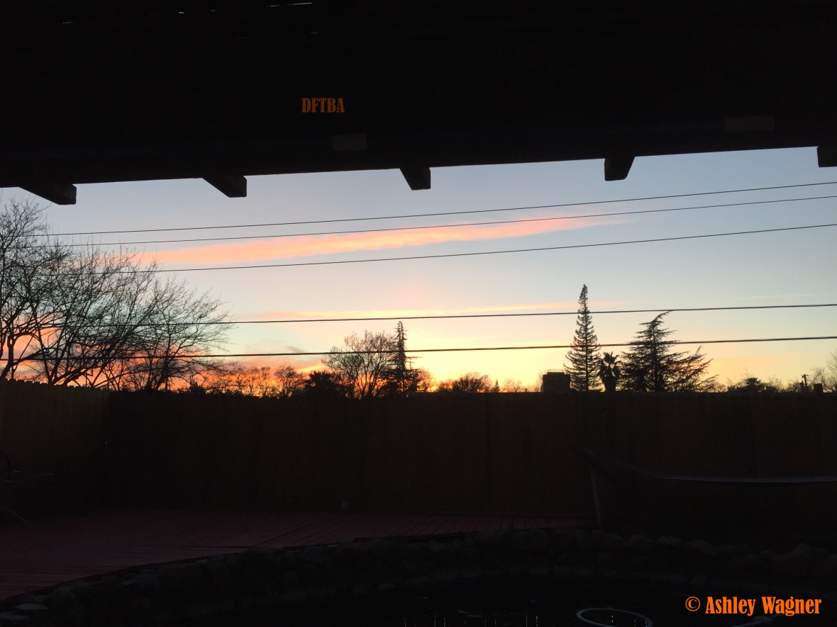 Photo Feb 26, 6 05 42 PM