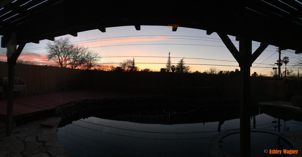 Photo Feb 26, 6 06 05 PM