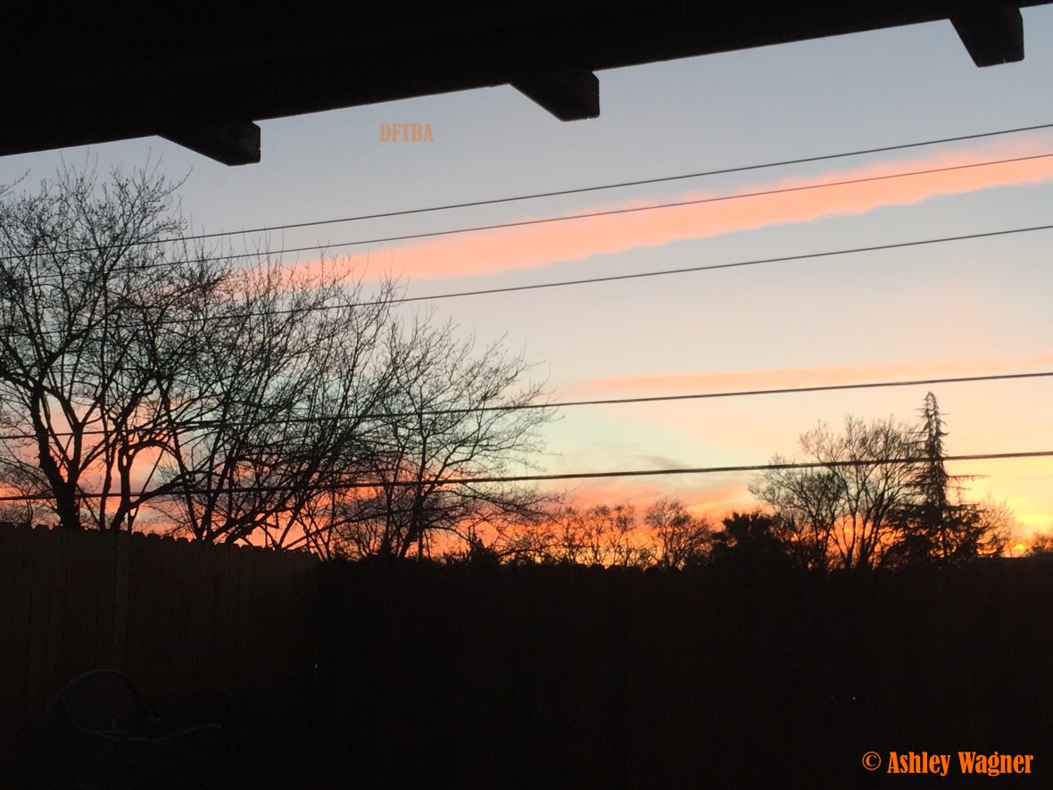 Photo Feb 26, 6 06 14 PM