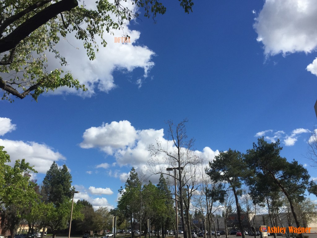 Photo Feb 27, 1 01 49 PM