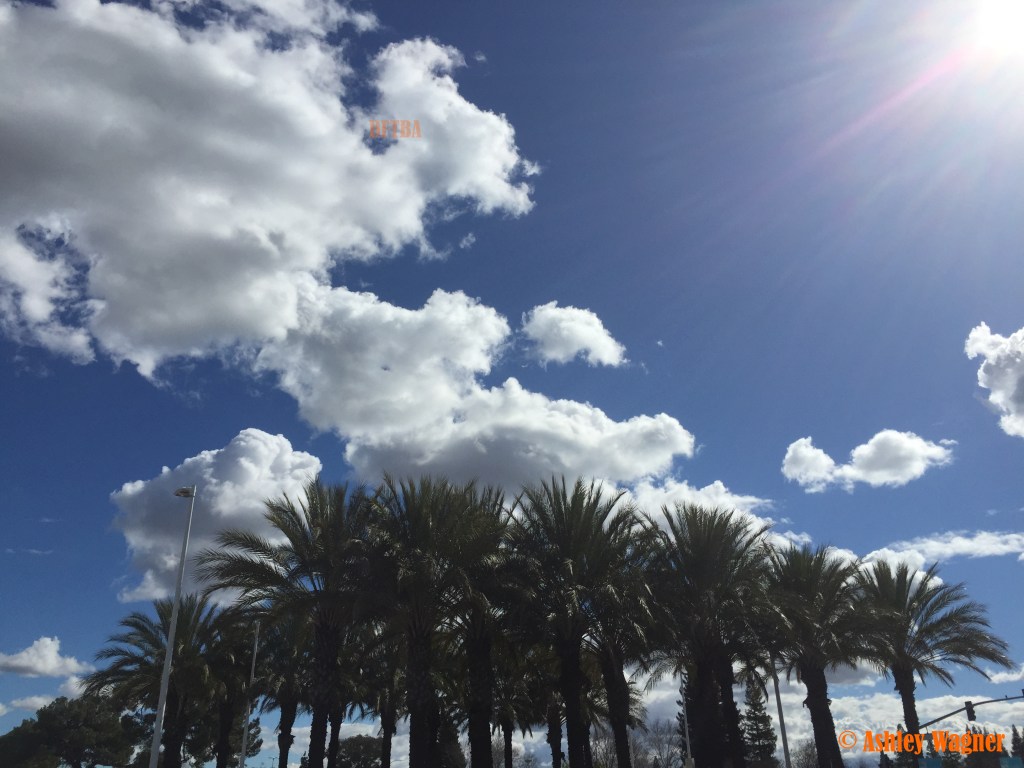 Photo Feb 27, 1 08 47 PM