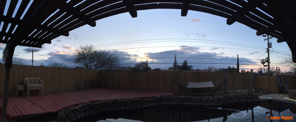 Photo Mar 02, 5 49 47 PM