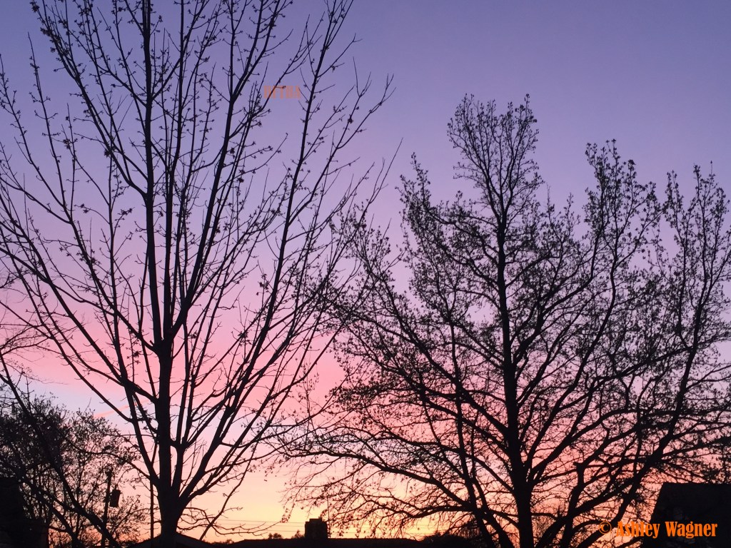 Photo Mar 10, 7 13 02 AM