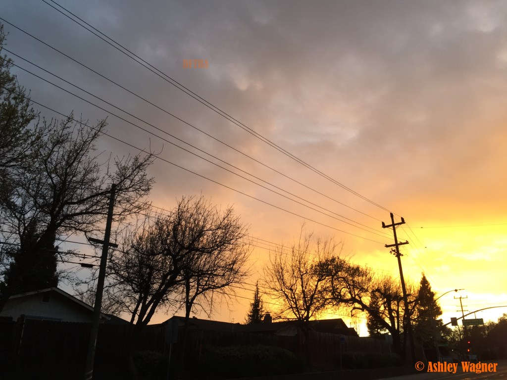 Photo Mar 11, 7 01 42 PM