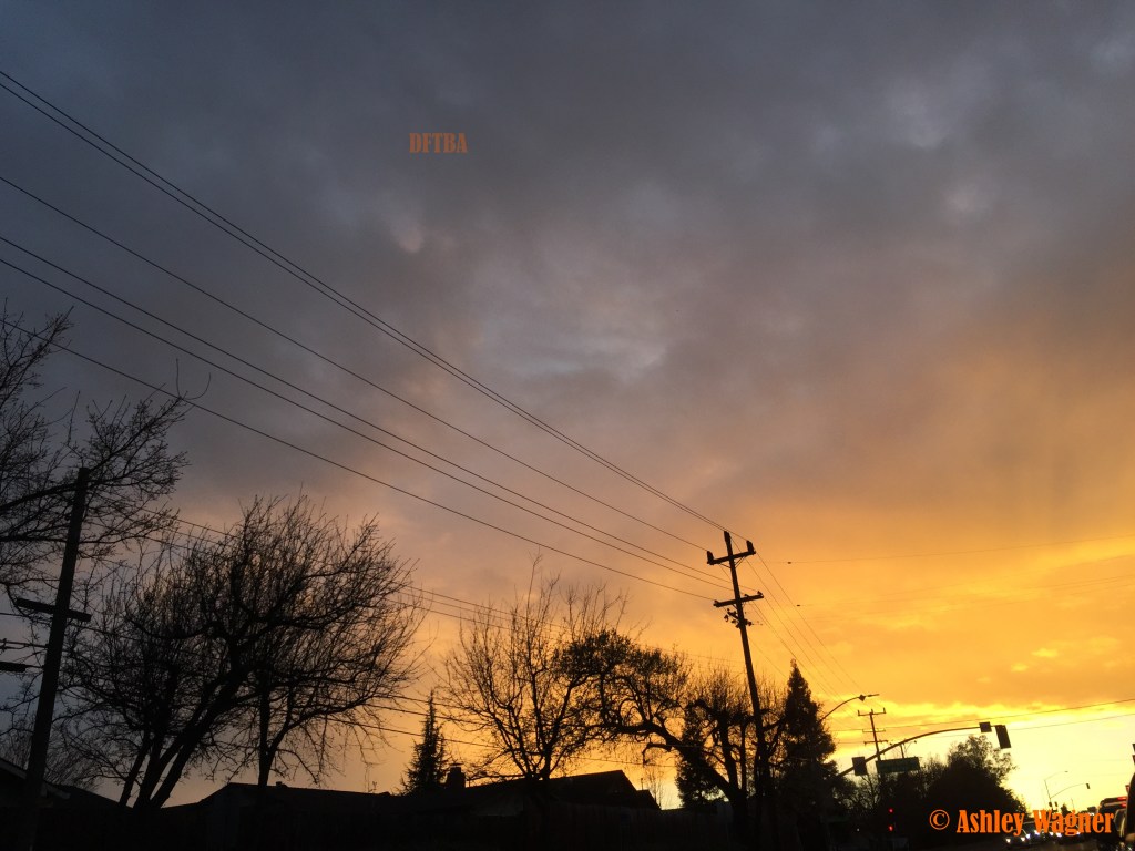 Photo Mar 11, 7 01 46 PM