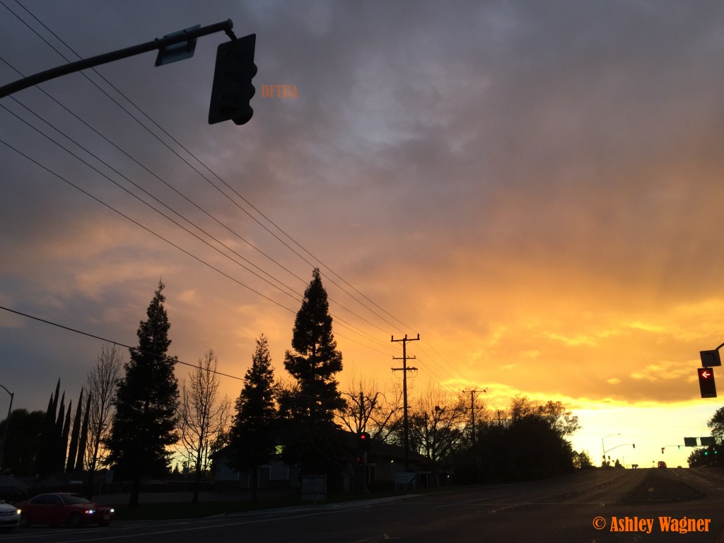 Photo Mar 11, 7 02 33 PM