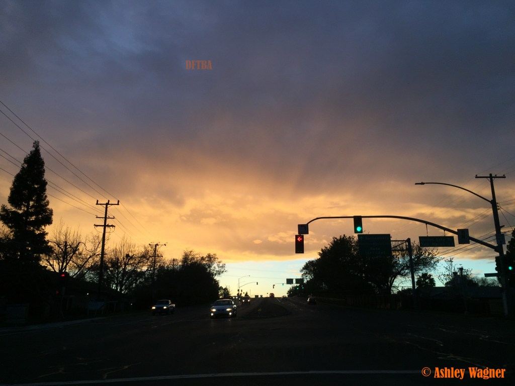 Photo Mar 11, 7 02 49 PM