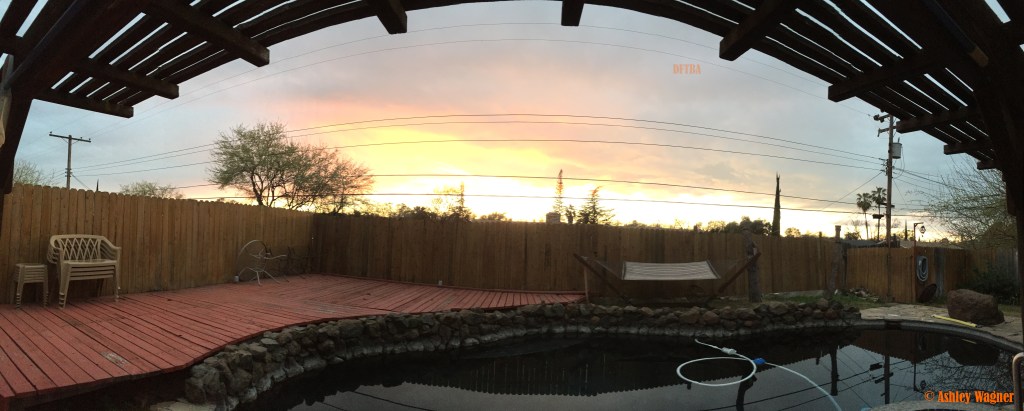 Photo Mar 11, 7 08 42 PM