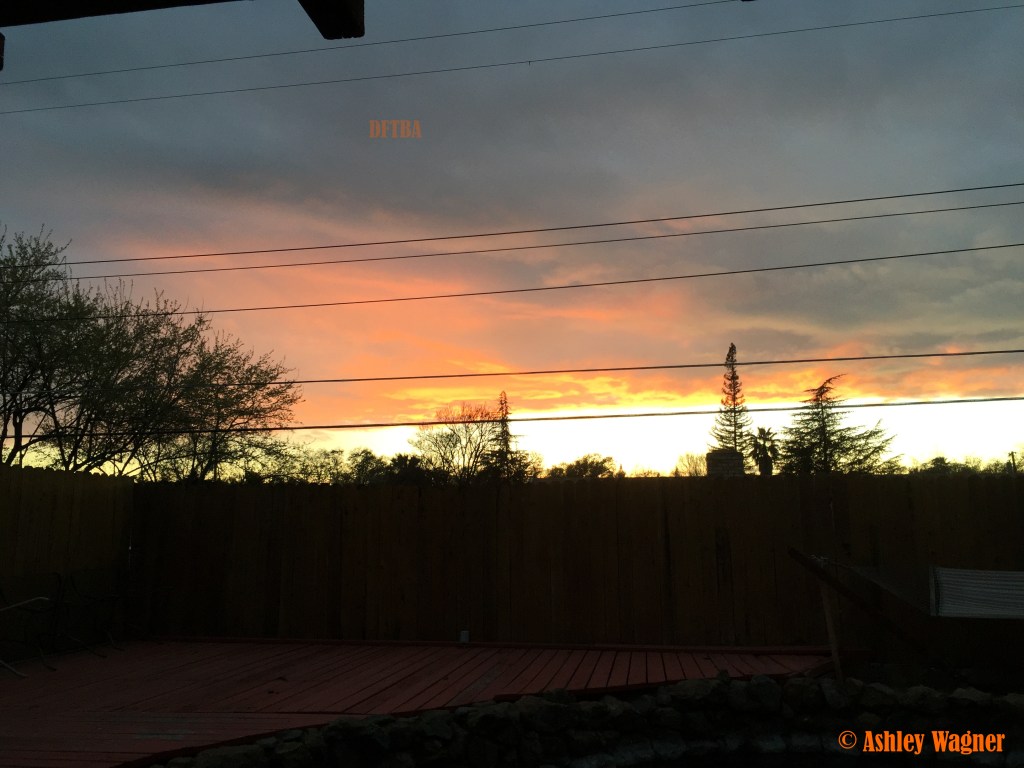 Photo Mar 11, 7 09 09 PM