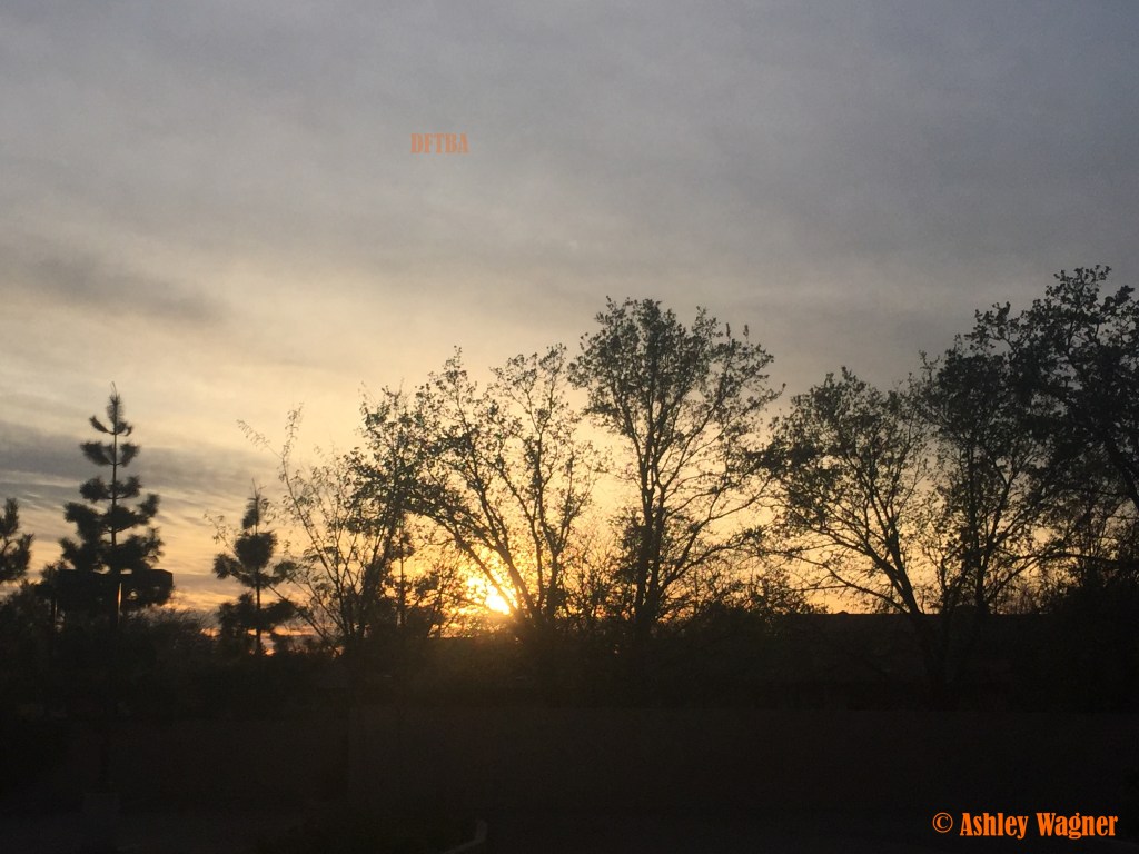 Photo Mar 12, 6 53 56 PM