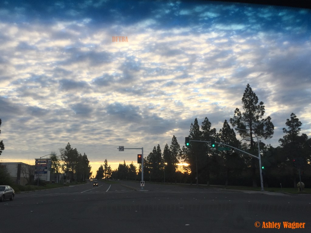 Photo Mar 13, 7 40 41 AM