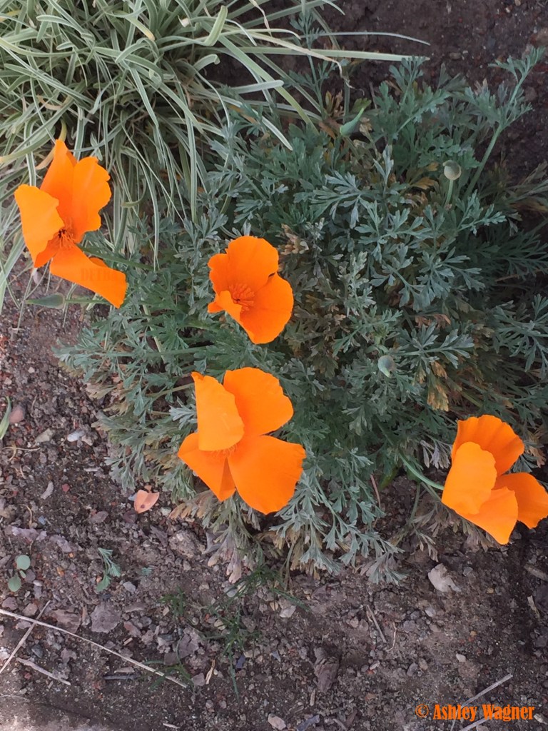 Photo Mar 15, 12 21 09 PM