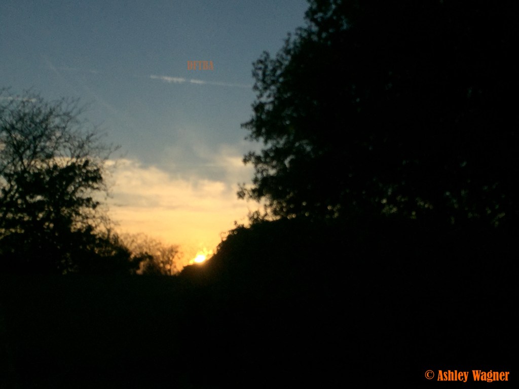 Photo Mar 19, 7 01 20 PM