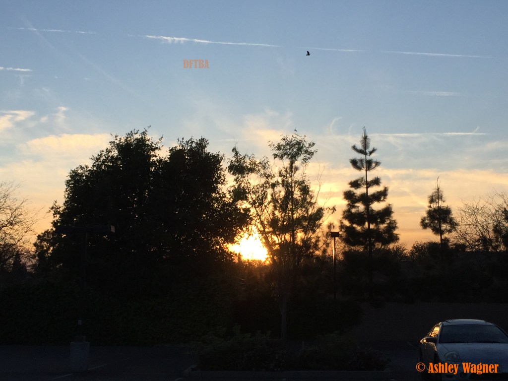 Photo Mar 19, 7 02 45 PM