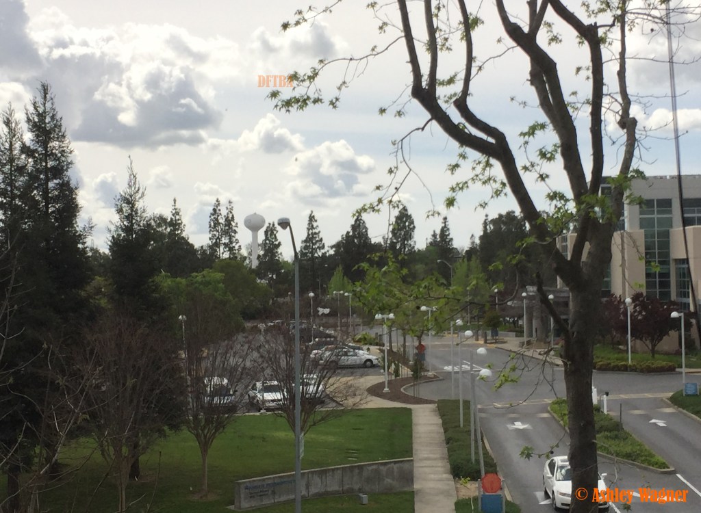 Photo Mar 23, 1 16 08 PM