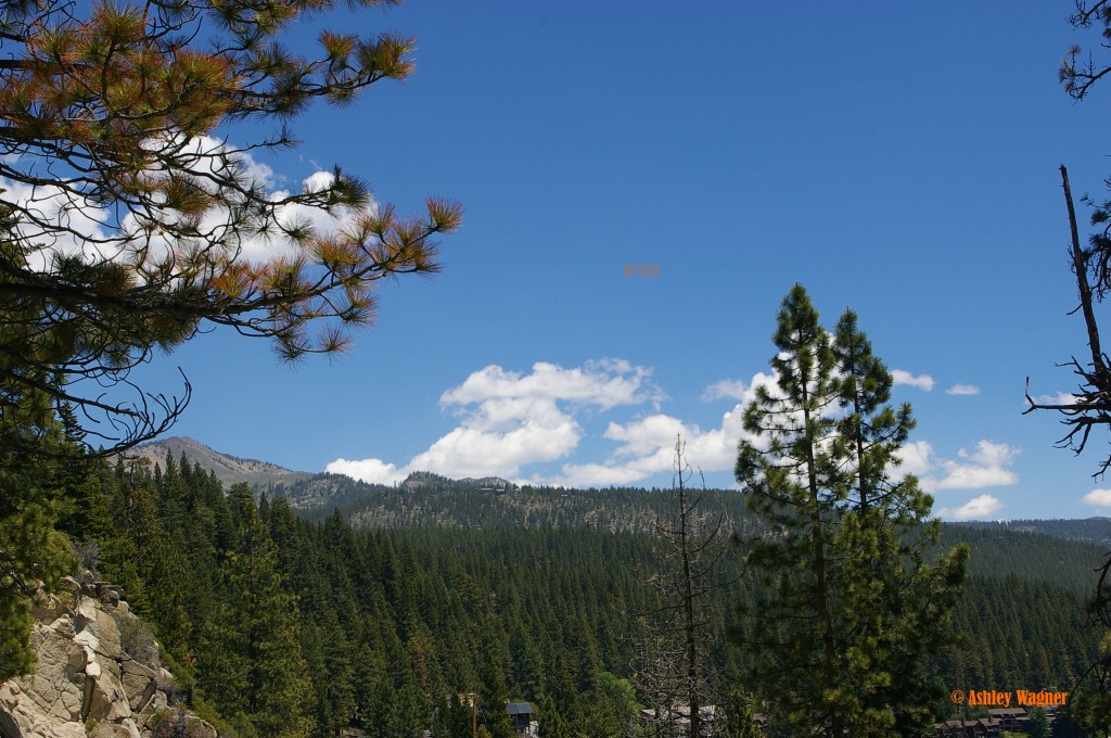 Lake Tahoe Relay 06.13 (10)