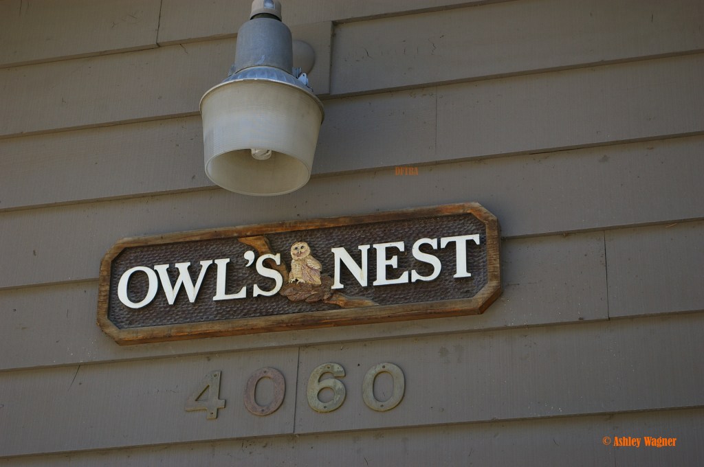 Lake Tahoe Relay 06.13 (12)