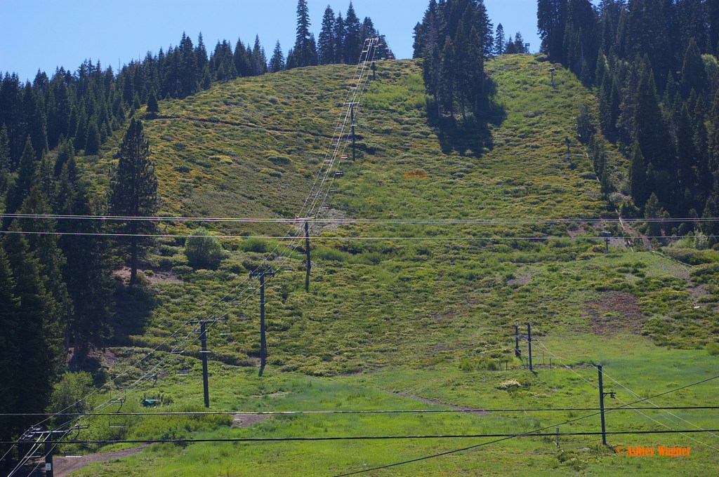 Lake Tahoe Relay 06.13 (20)