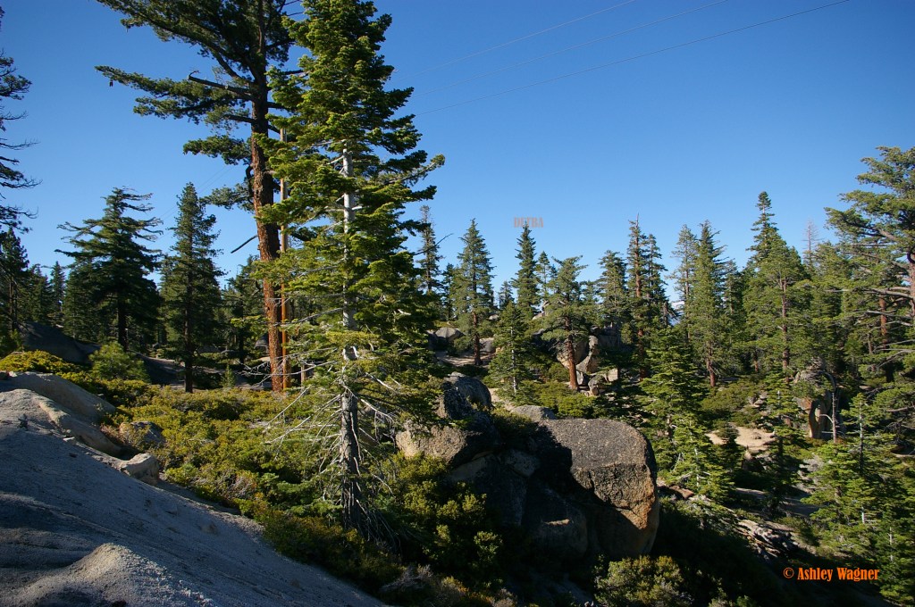 Lake Tahoe Relay 06.13 (23)