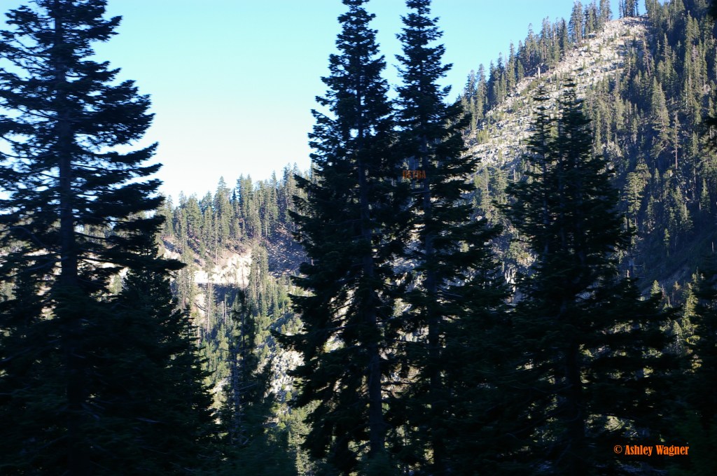 Lake Tahoe Relay 06.13 (25)