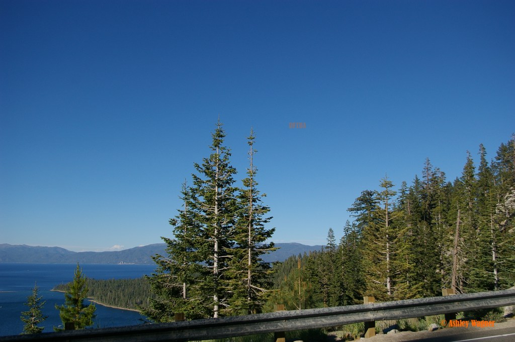 Lake Tahoe Relay 06.13 (28)