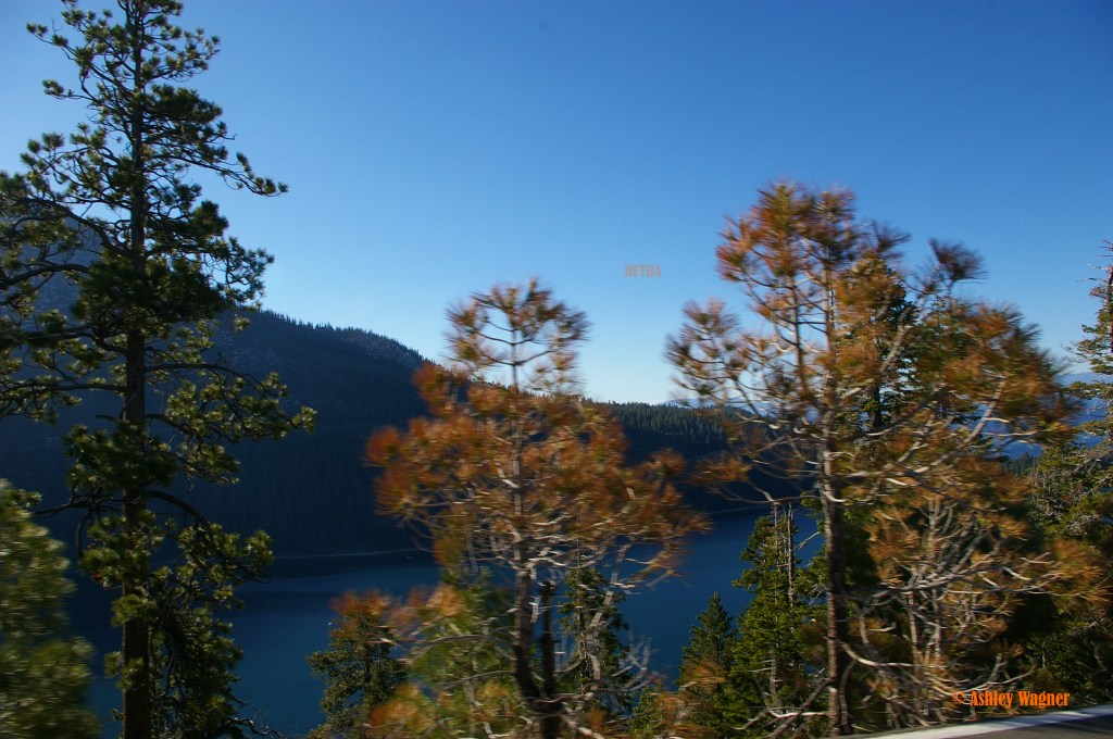 Lake Tahoe Relay 06.13 (29)