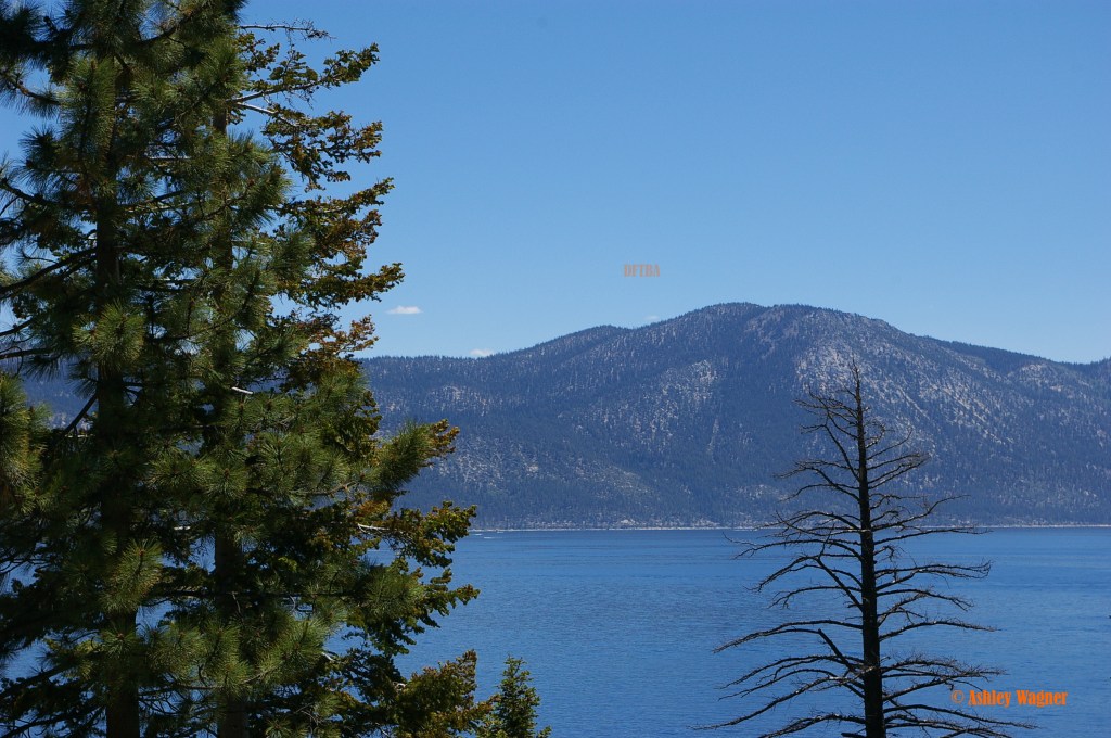 Lake Tahoe Relay 06.13 (3)