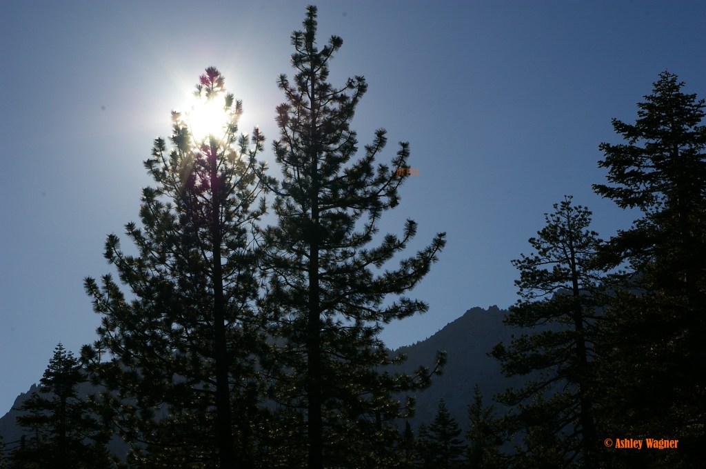 Lake Tahoe Relay 06.13 (31)