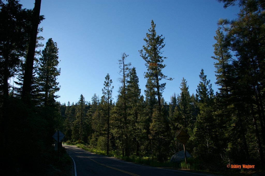 Lake Tahoe Relay 06.13 (34)