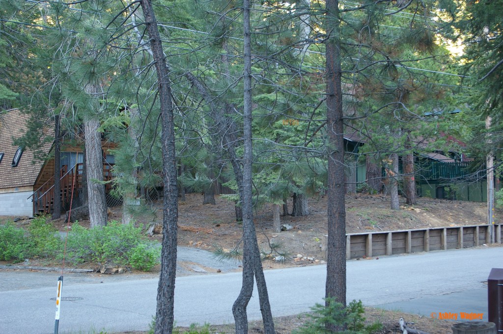 Lake Tahoe Relay 06.13 (36)