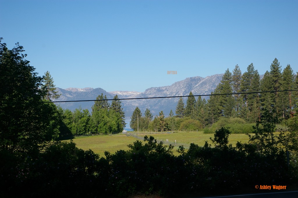 Lake Tahoe Relay 06.13 (37)