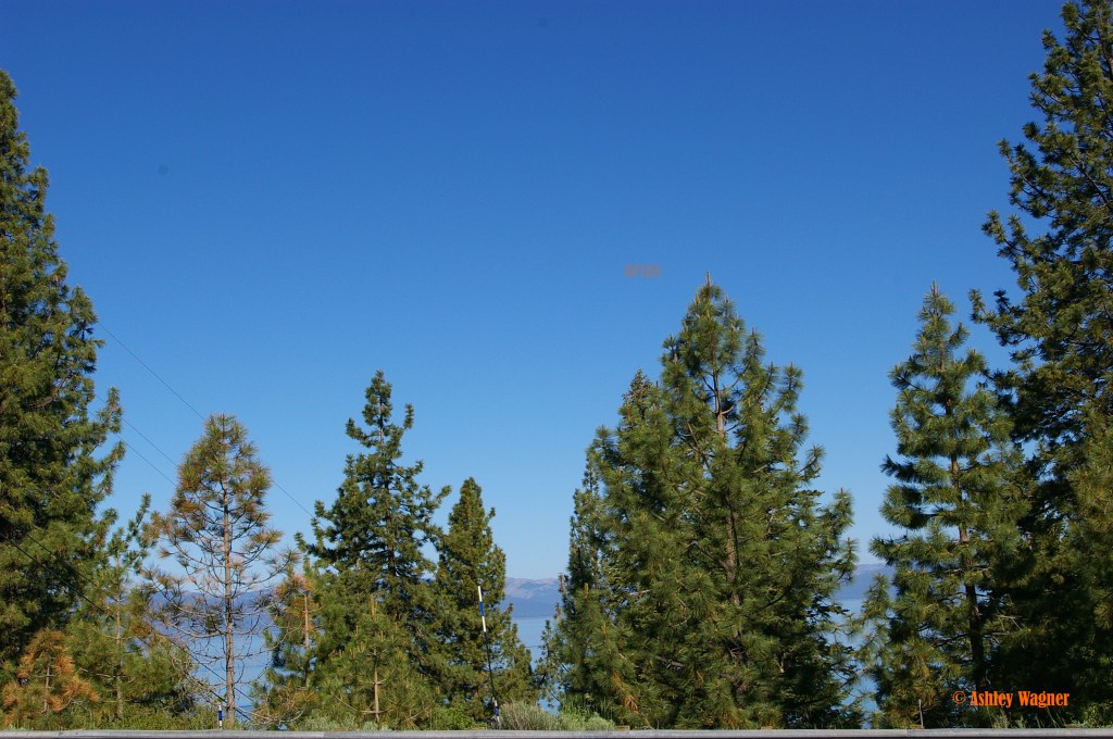 Lake Tahoe Relay 06.13 (48)