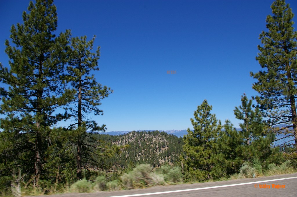 Lake Tahoe Relay 06.13 (52)