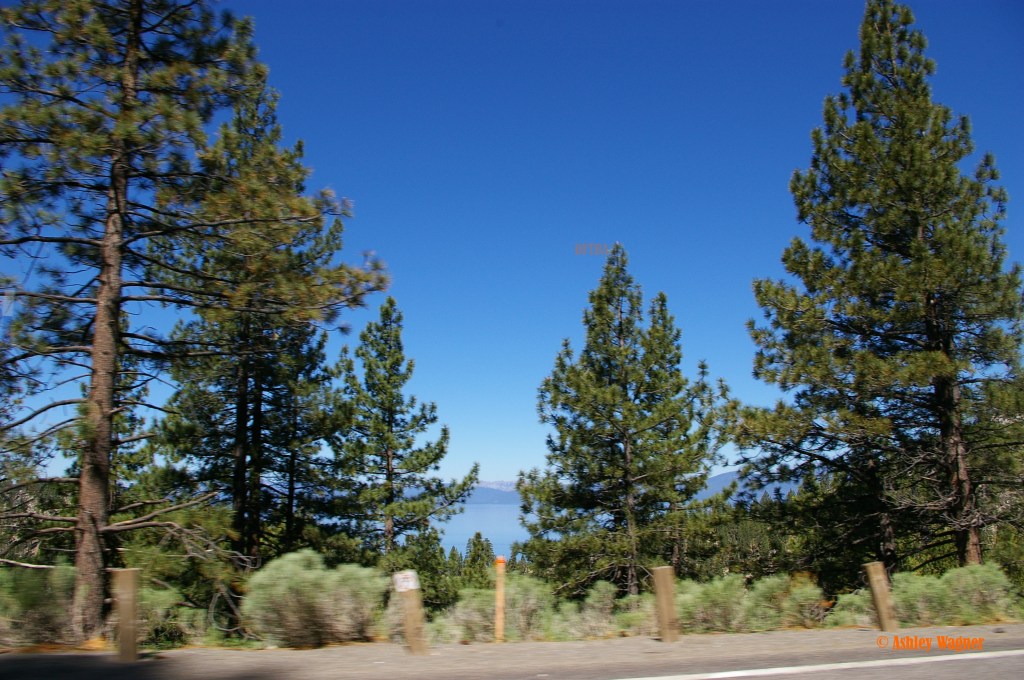 Lake Tahoe Relay 06.13 (53)