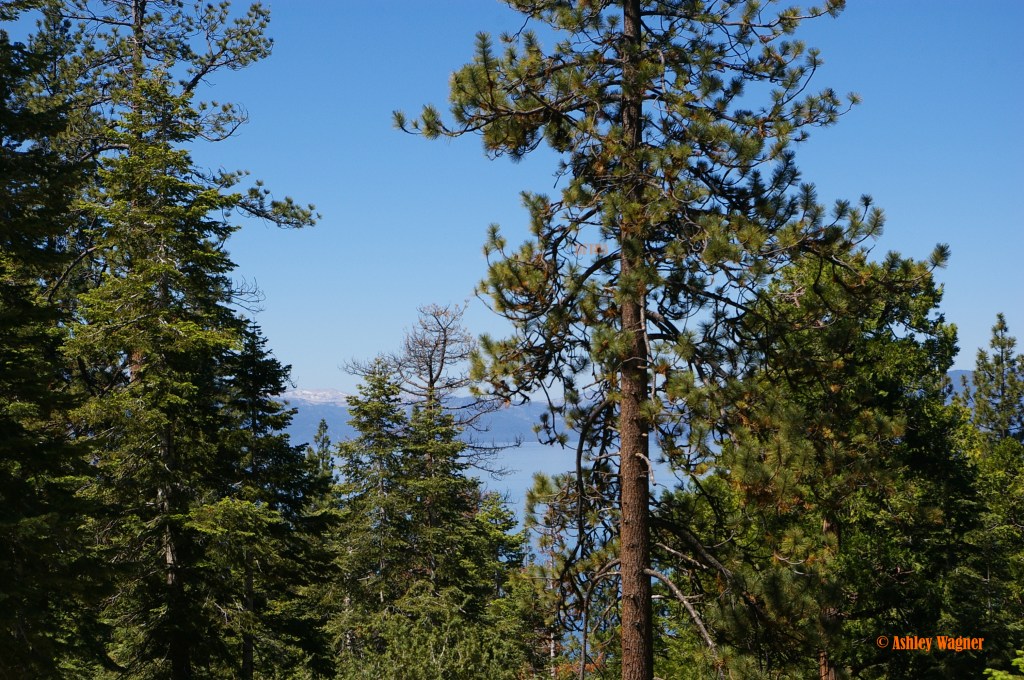 Lake Tahoe Relay 06.13 (54)