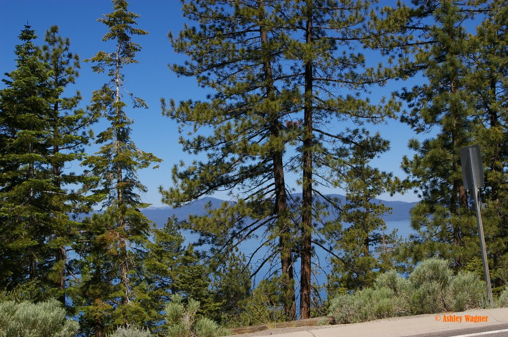 Lake Tahoe Relay 06.13 (55)