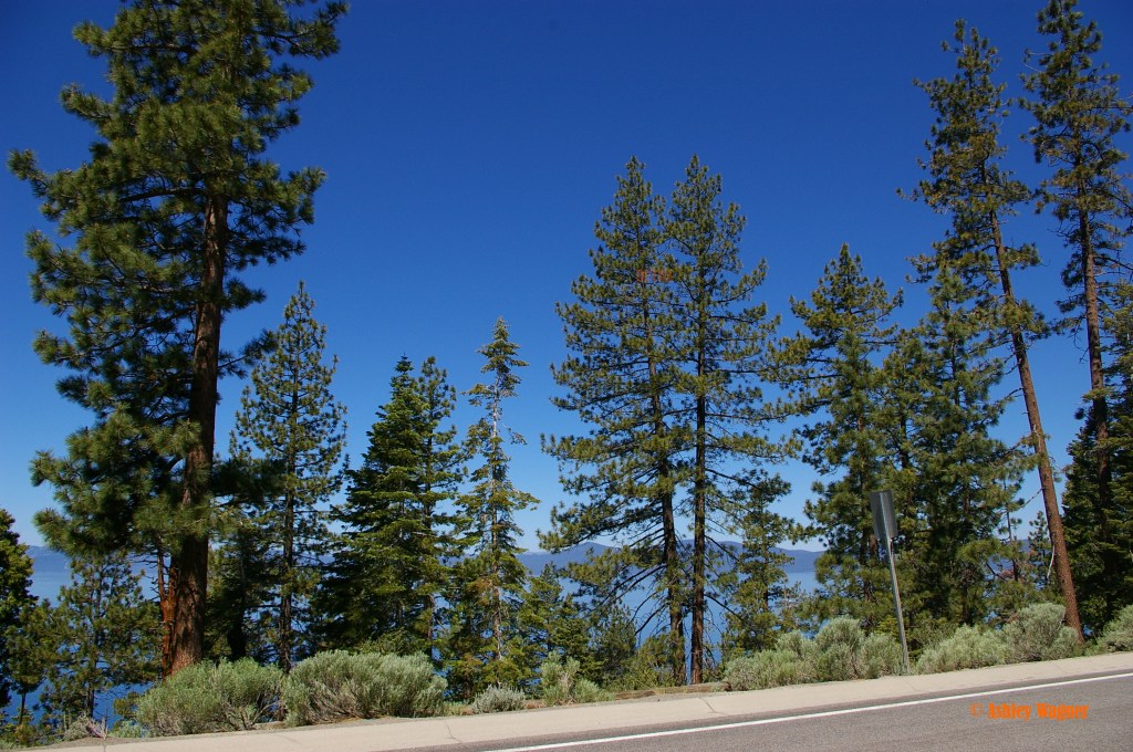 Lake Tahoe Relay 06.13 (56)